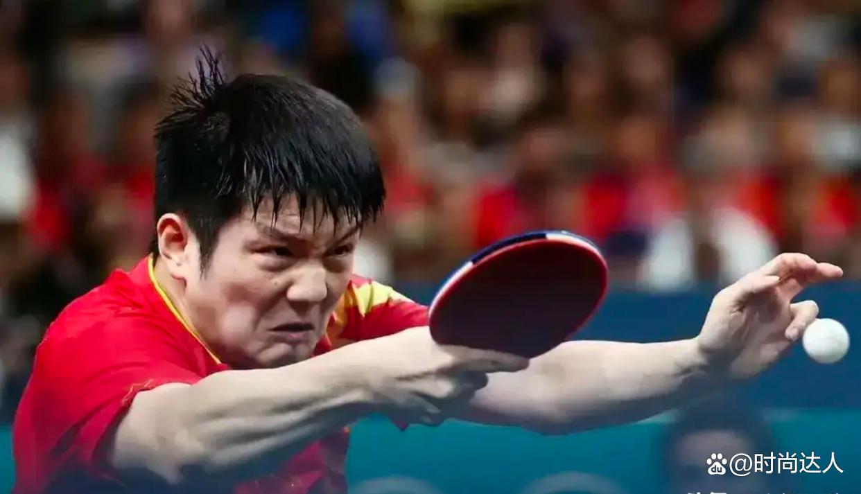 关于德国乒乓球队碾压法国乒乓球队，樊振东绝境逆转的信息